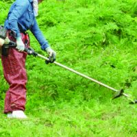 草刈り